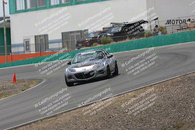 media/May-03-2025-Lucky Dog Racing (Sat) [[206de64b9d]]/Turn 4 B (1150am-130pm)/